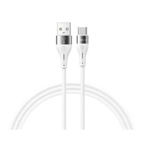 Recci RS11CC Type-C to Type-C Cable - 65W PD