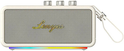 Lenyes Bluetooth 5.3 60W RGB IPX6 Portable Speaker S876
